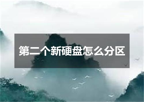 第二个新硬盘怎么分区