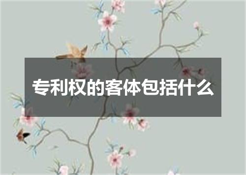 专利权的客体包括什么
