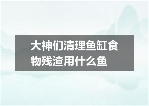 大神们清理鱼缸食物残渣用什么鱼