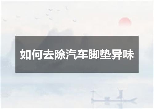 如何去除汽车脚垫异味