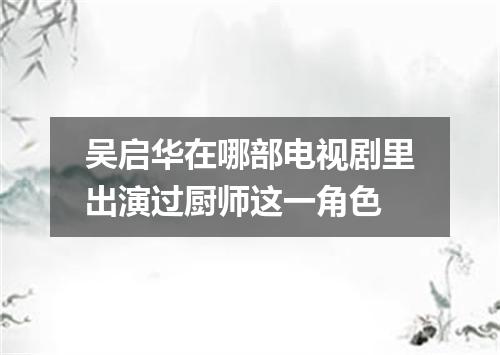 吴启华在哪部电视剧里出演过厨师这一角色