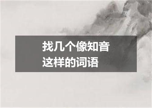 找几个像知音这样的词语