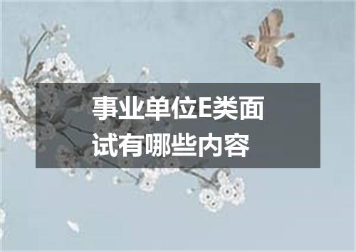事业单位E类面试有哪些内容