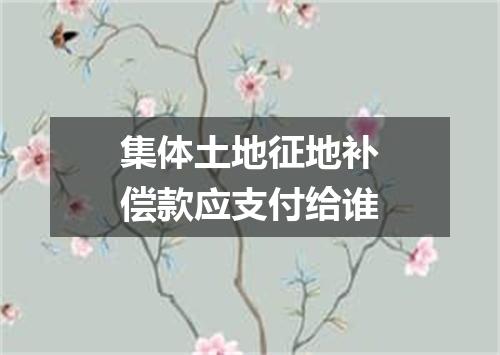 集体土地征地补偿款应支付给谁