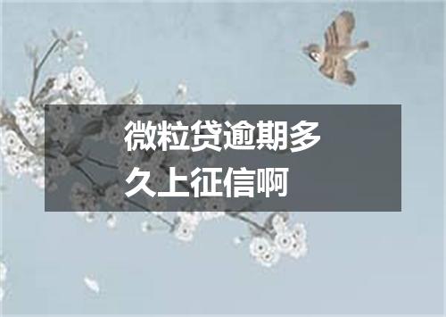 微粒贷逾期多久上征信啊