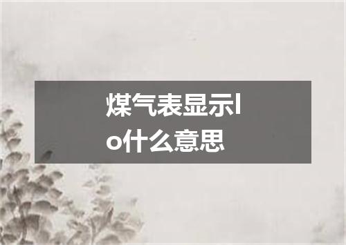 煤气表显示lo什么意思