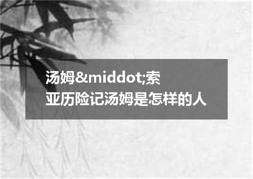 汤姆&middot;索亚历险记汤姆是怎样的人