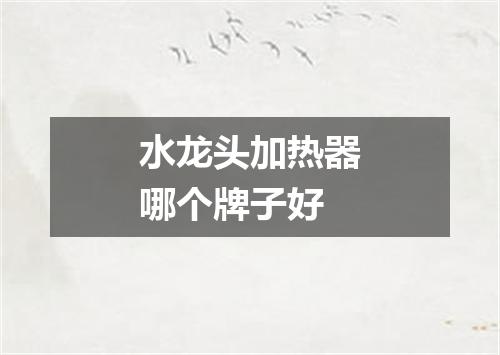 水龙头加热器哪个牌子好