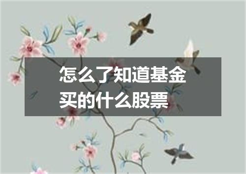 怎么了知道基金买的什么股票