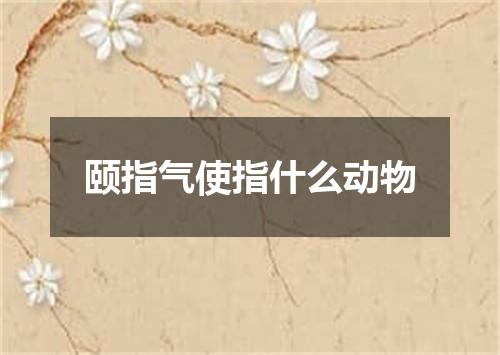 颐指气使指什么动物