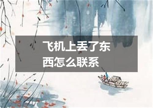 飞机上丢了东西怎么联系