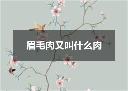 眉毛肉又叫什么肉