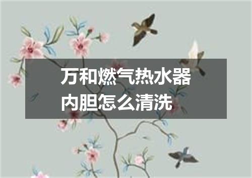 万和燃气热水器内胆怎么清洗