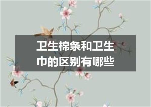 卫生棉条和卫生巾的区别有哪些