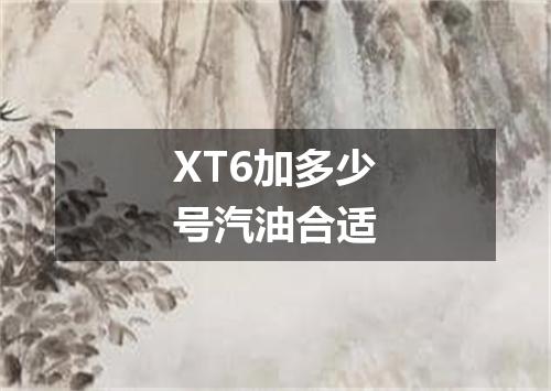 XT6加多少号汽油合适