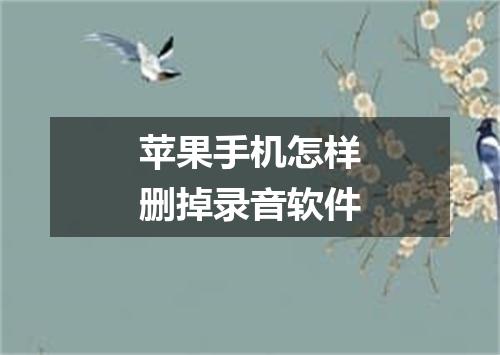 苹果手机怎样删掉录音软件