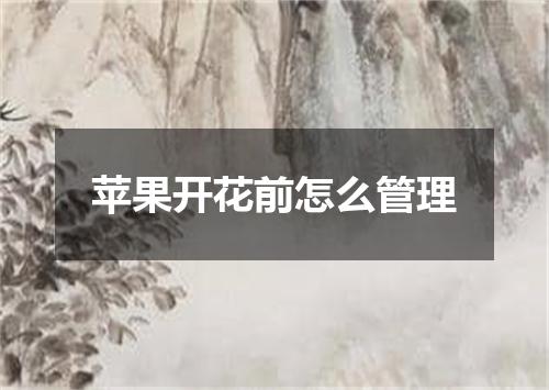 苹果开花前怎么管理