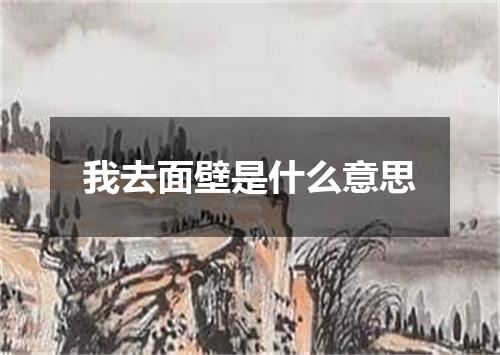 我去面壁是什么意思
