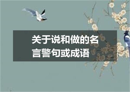 关于说和做的名言警句或成语