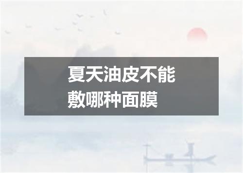 夏天油皮不能敷哪种面膜