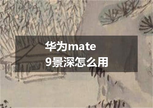 华为mate9景深怎么用
