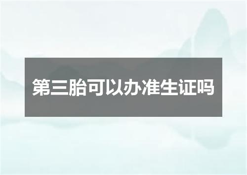 第三胎可以办准生证吗
