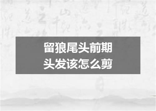 留狼尾头前期头发该怎么剪