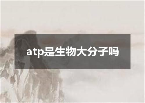 atp是生物大分子吗