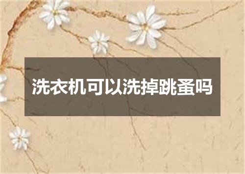 洗衣机可以洗掉跳蚤吗