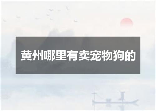 黄州哪里有卖宠物狗的