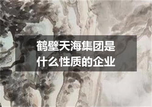 鹤壁天海集团是什么性质的企业