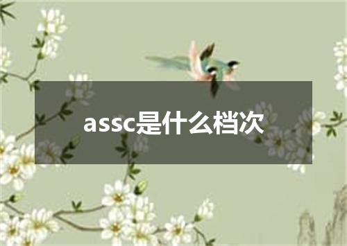 assc是什么档次