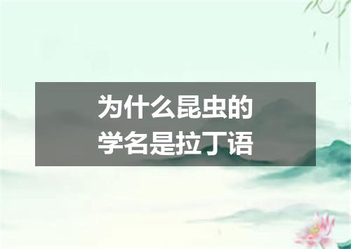 为什么昆虫的学名是拉丁语