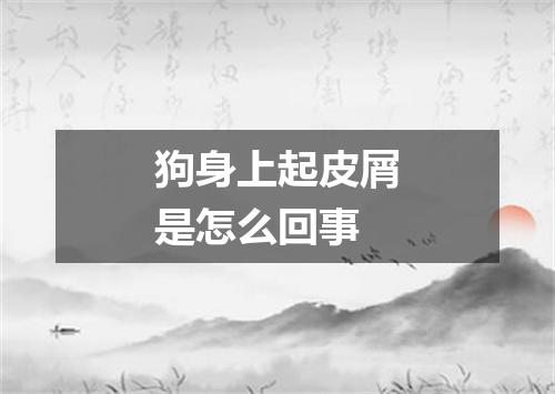 狗身上起皮屑是怎么回事