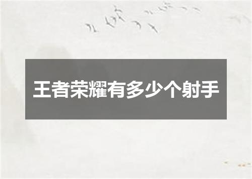 王者荣耀有多少个射手
