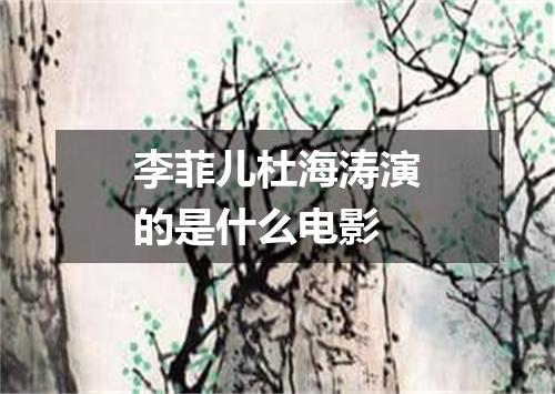 李菲儿杜海涛演的是什么电影