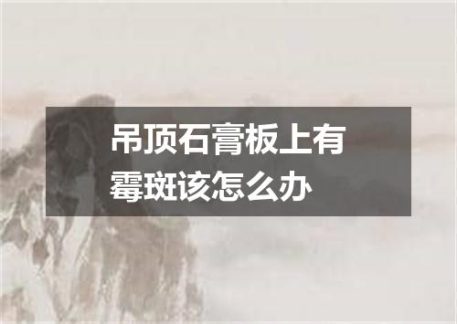 吊顶石膏板上有霉斑该怎么办