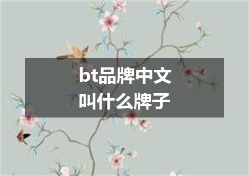 bt品牌中文叫什么牌子