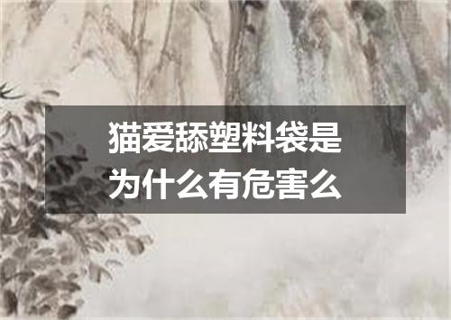 猫爱舔塑料袋是为什么有危害么