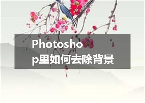 Photoshop里如何去除背景