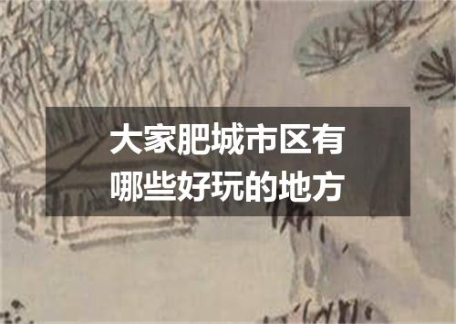 大家肥城市区有哪些好玩的地方