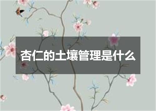 杏仁的土壤管理是什么