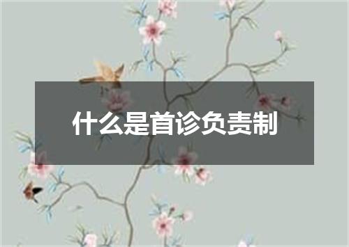 什么是首诊负责制