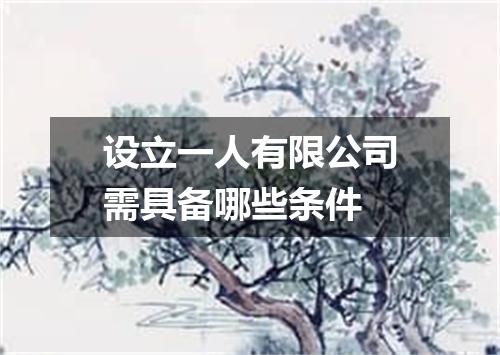 设立一人有限公司需具备哪些条件