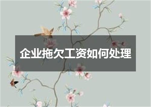 企业拖欠工资如何处理