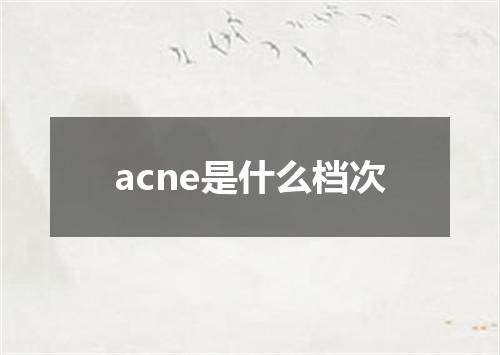 acne是什么档次