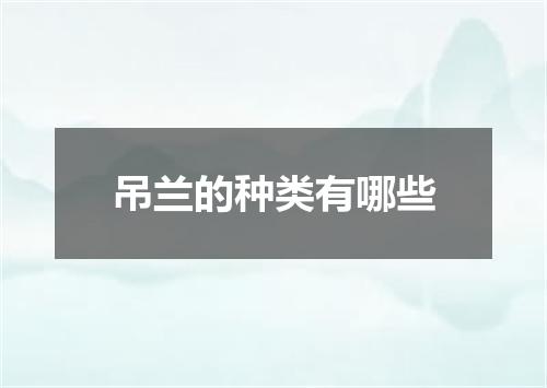 吊兰的种类有哪些