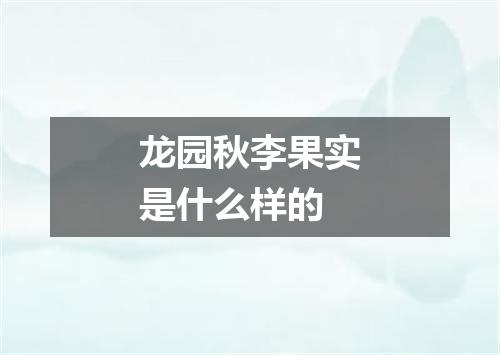 龙园秋李果实是什么样的