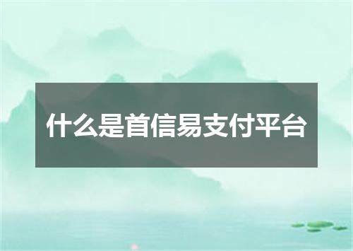 什么是首信易支付平台