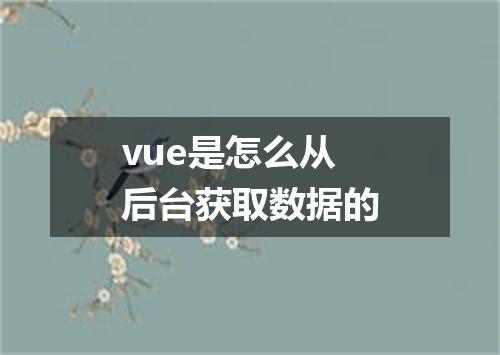 vue是怎么从后台获取数据的